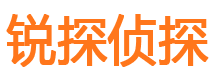 青铜峡私家侦探